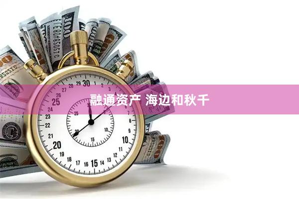融通资产 海边和秋千